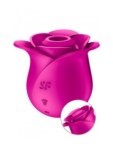 Stimulateur clitoridien Satisfyer Pro 2 Modern Blossom