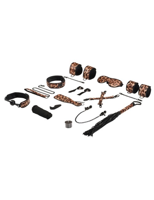 Liebe Seele Vivid Hyō – Coffret BDSM 13 pièces