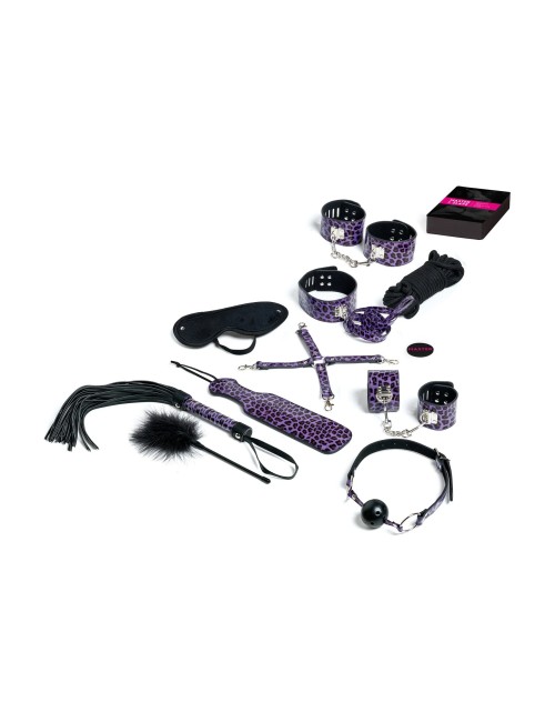 Coffret Master et Slave Violet Tease and Please