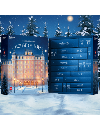 Calendrier de l’Avent Coquin Satisfyer Deluxe 2025 – 24 surprises - SADELUXE