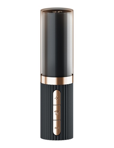 Stimulateur clitoridien Satisfyer Pro 2 Kiss